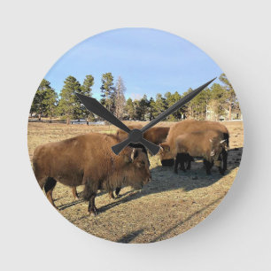 Reloj Redondo Mediano Bisonte en Colorado