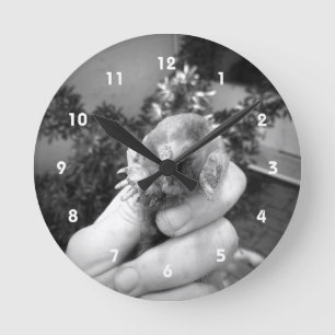 Reloj Redondo Mediano Blanco negro animal sonriente vivo del topo a