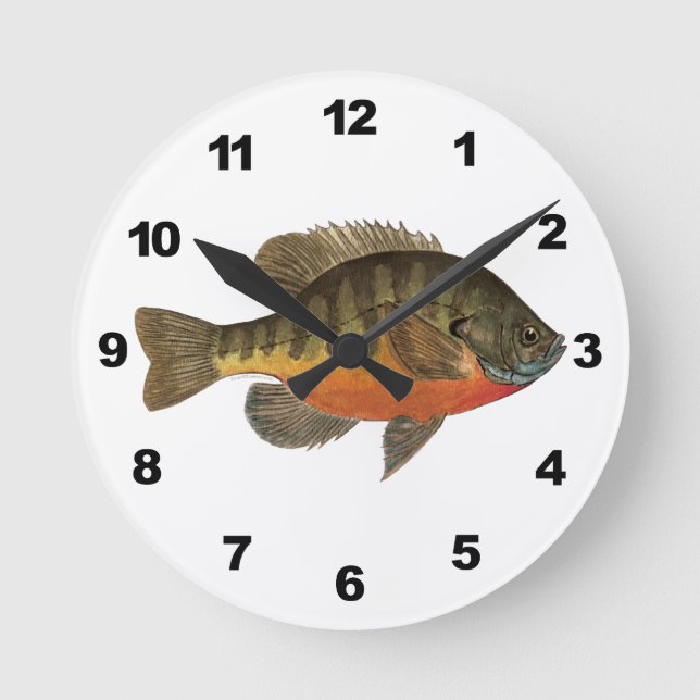 Reloj Redondo Mediano Bluegill Bream (Anverso)