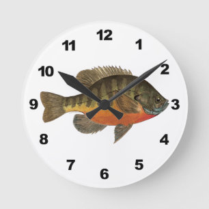 Reloj Redondo Mediano Bluegill Bream