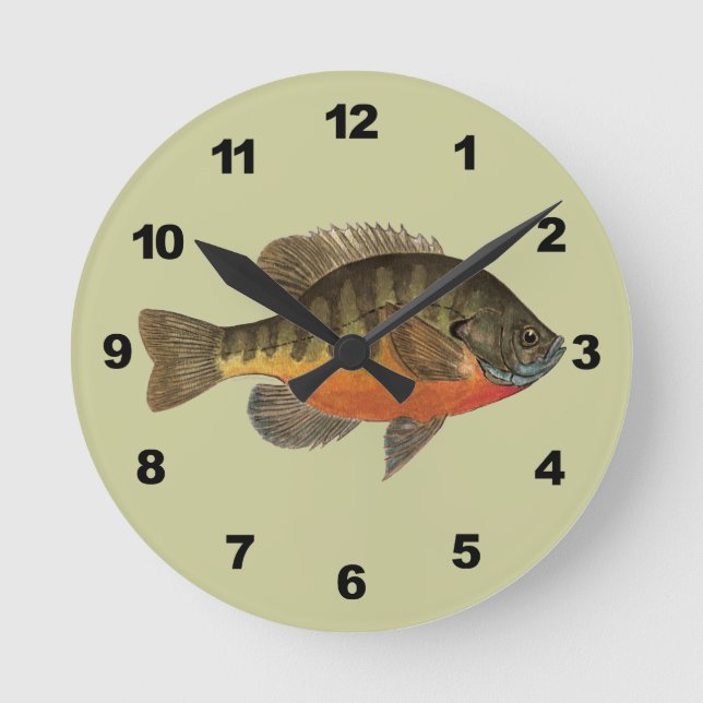 Reloj Redondo Mediano Bluegill Bream (Anverso)