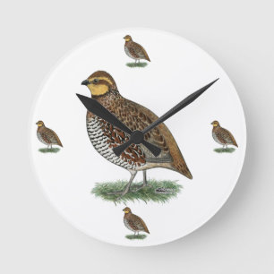Reloj Redondo Mediano Bobwhite Quail Hen