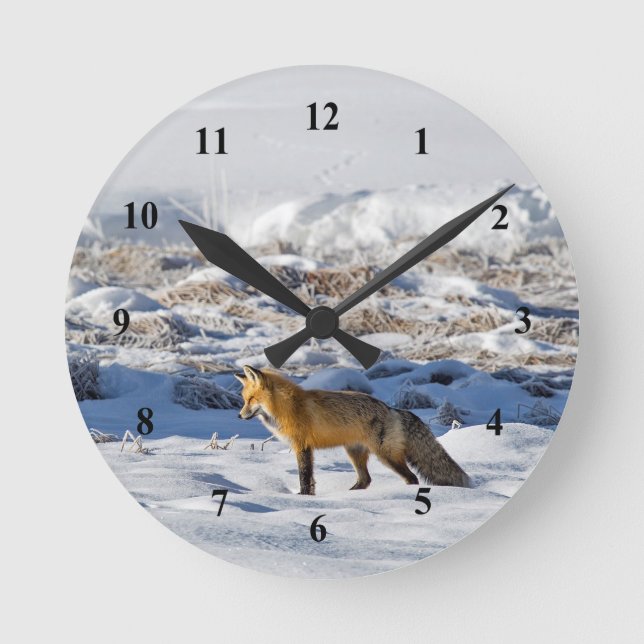 Reloj Redondo Mediano Bonito Fox Snow Photo (Anverso)
