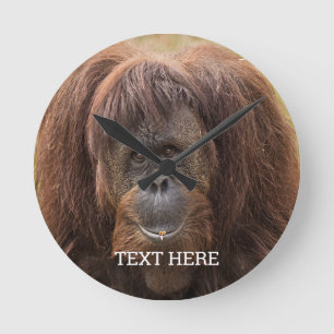 Reloj Redondo Mediano Borneo Orangutan Beautiful Photography