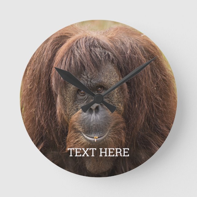 Reloj Redondo Mediano Borneo Orangutan Beautiful Photography (Anverso)