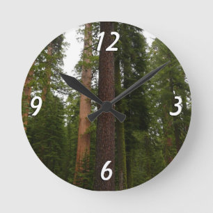 Reloj Redondo Mediano Bosque Mariposa en el Parque Nacional Yosemite
