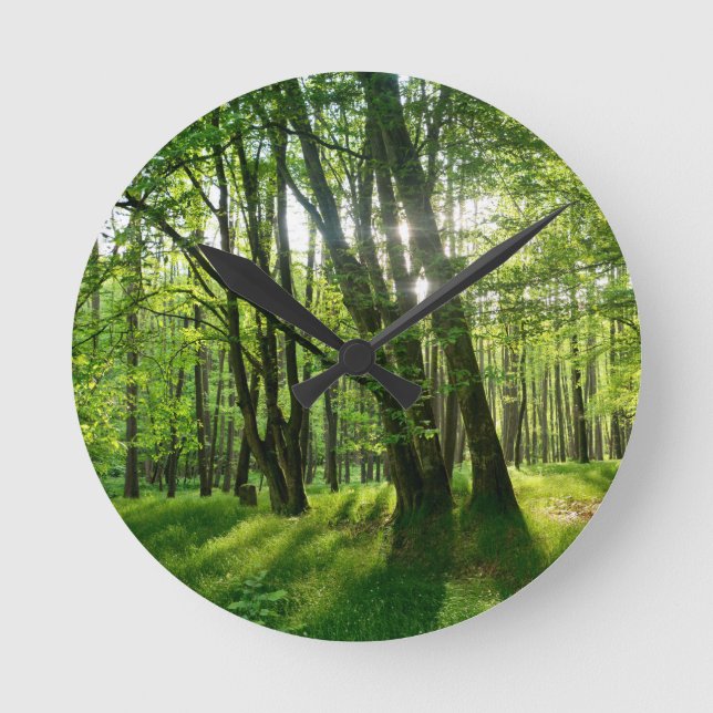 Reloj Redondo Mediano Bosque primaveral (Anverso)