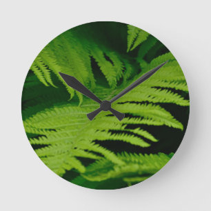 Reloj Redondo Mediano Bosques y selvas