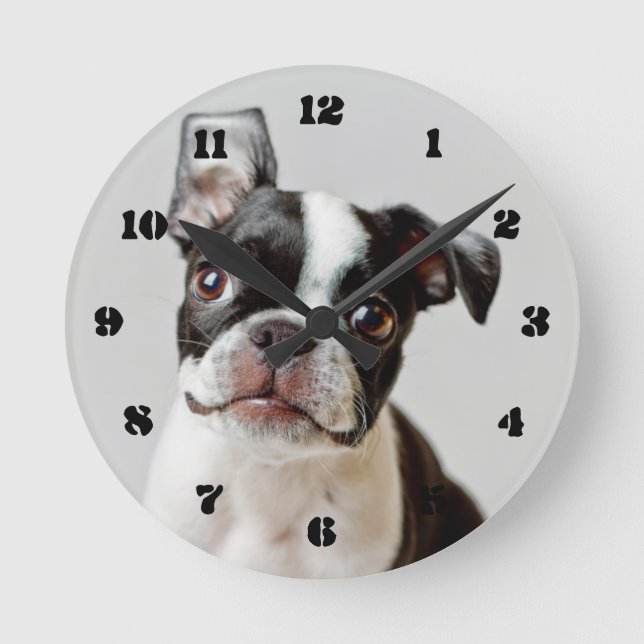 Reloj Redondo Mediano Boston Terrier (Anverso)