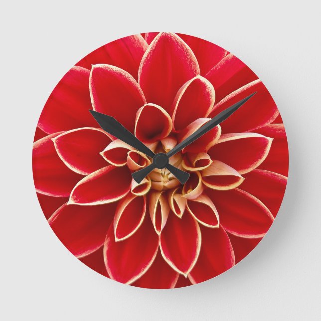 Reloj Redondo Mediano Bright Red Dahlia Flower (Anverso)