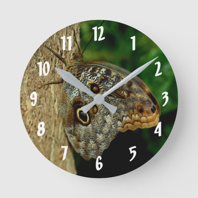 Reloj Redondo Mediano Brown Owl Butterfly Animal Art (Anverso)