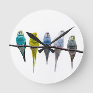 Reloj Redondo Mediano Budgies