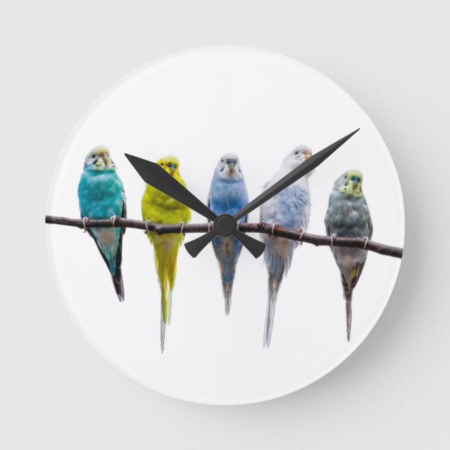 Reloj Redondo Mediano Budgies (Anverso)