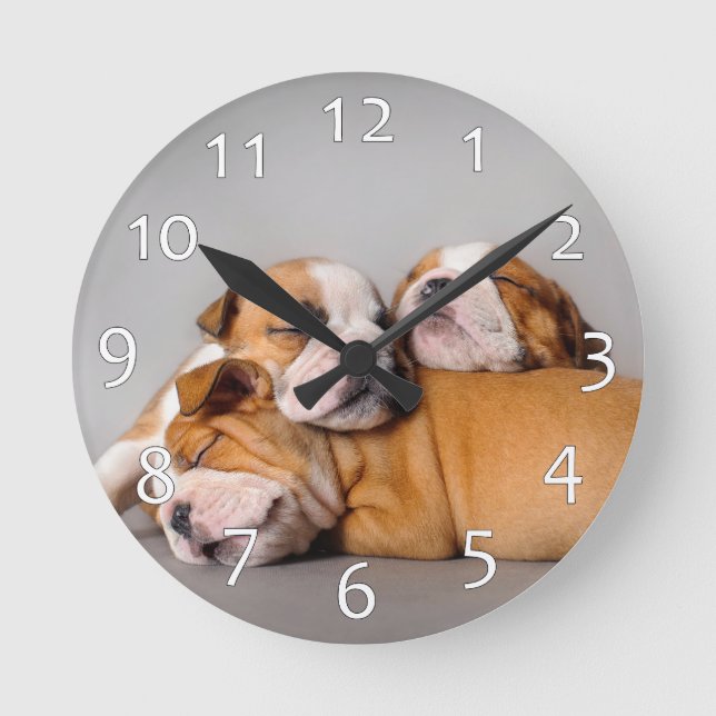 Reloj Redondo Mediano Bulldog inglés durmiente (Anverso)