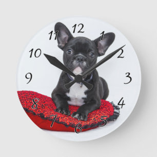 Reloj Redondo Mediano Bulldog negro y blanco con almohada roja