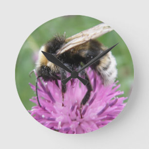 Reloj Redondo Mediano Bumblebee on a Thistle Wall Clock