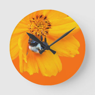 Reloj Redondo Mediano Bumblebee on Cosmos