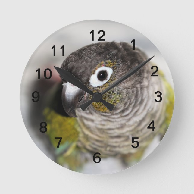 Reloj Redondo Mediano Burbel