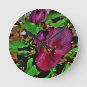 Reloj Redondo Mediano Burgundy Pink Lenten Rose
