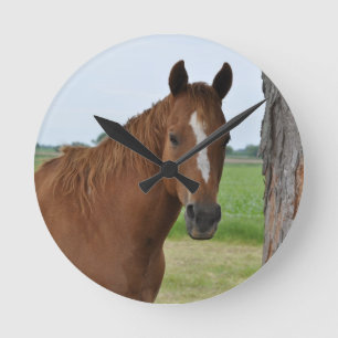 Reloj Redondo Mediano Caballo junto a un árbol