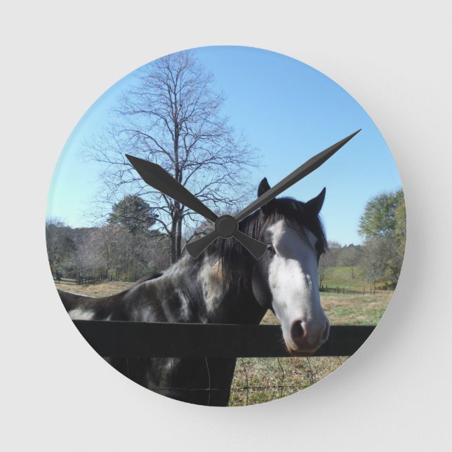 Reloj Redondo Mediano Caballo marrón y blanco, caballo pintado, cielo az (Anverso)