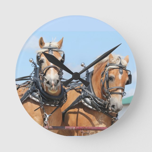 Reloj Redondo Mediano Caballos belgas (Anverso)