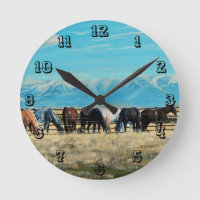 Caballos de Montana, rodeo de la primavera,