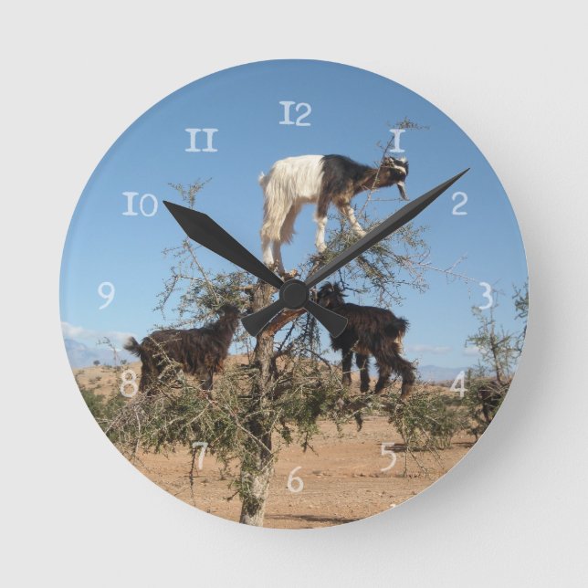Reloj Redondo Mediano Cabras divertidas en un árbol (Anverso)