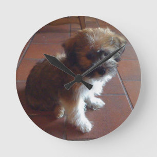 Reloj Redondo Mediano Cachorro