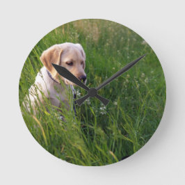 Reloj Redondo Mediano Cachorro Labrador Adorable en Césped
