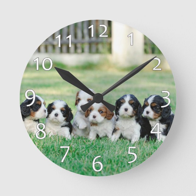 Reloj Redondo Mediano Cachorros de Cavalier King Charles Spaniel (Anverso)