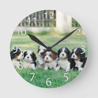 Reloj Redondo Mediano Cachorros de Cavalier King Charles Spaniel