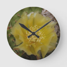 Cactus Amarillo en Flor