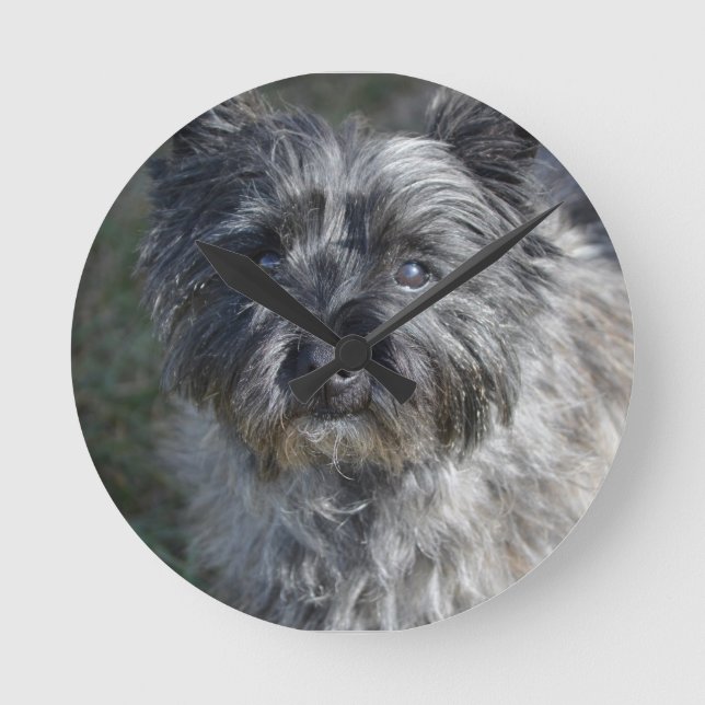 Reloj Redondo Mediano Cairn Terrier Face (Anverso)