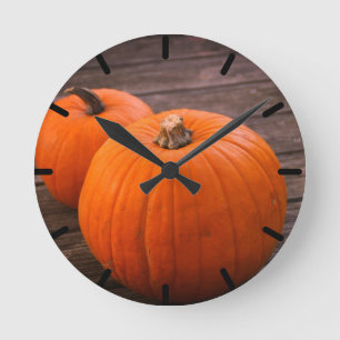 Reloj Redondo Mediano Calabazas de plumas de Bonito