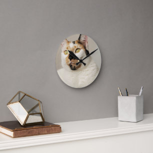 Reloj Redondo Mediano Calico Cat