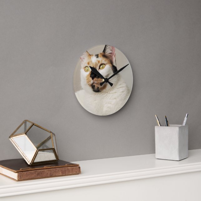 Reloj Redondo Mediano Calico Cat (Oficina)