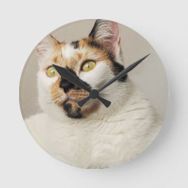 Reloj Redondo Mediano Calico Cat