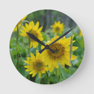 Reloj Redondo Mediano Canadá, Columbia Británica, Isla de Vancouver 5