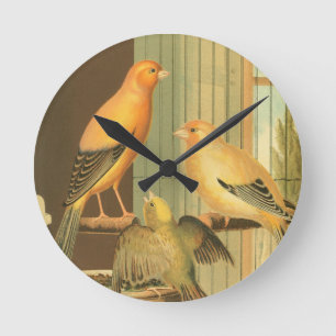Reloj Redondo Mediano Canarios London Fancy - aves vintage