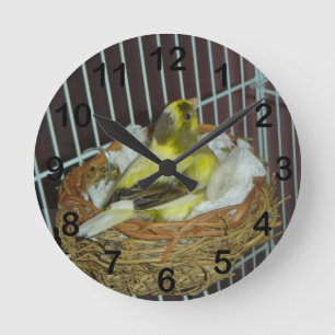 Reloj Redondo Mediano Canary