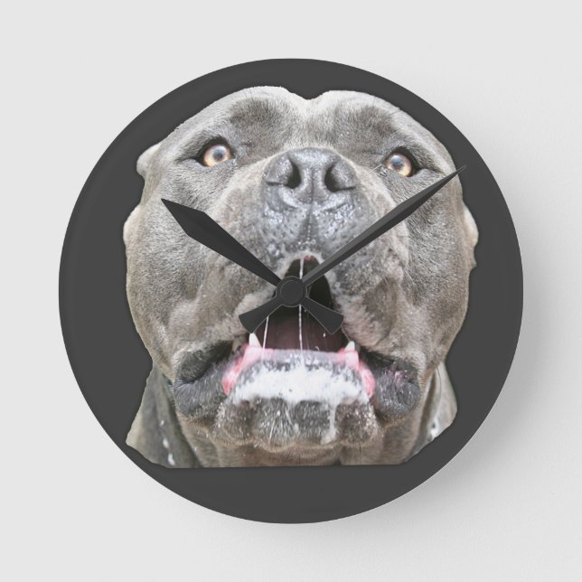 Reloj Redondo Mediano Cane Corso Mastiff Clock (Anverso)