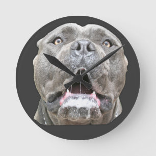 Reloj Redondo Mediano Cane Corso Mastiff Clock