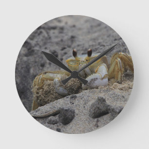 Reloj Redondo Mediano Cangrejo, crustáceo, arena