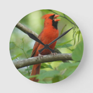 Reloj Redondo Mediano ¡Cantando Pappa!