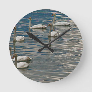 Reloj Redondo Mediano Canto de cisne