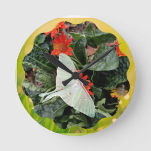 Reloj Redondo Mediano Captivating Luna Moth  