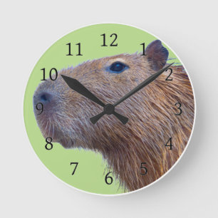 Reloj Redondo Mediano Capybara