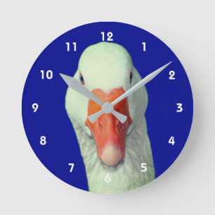 Reloj Redondo Mediano Cara de ganso blanco animal lindo