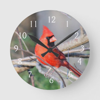 Reloj Redondo Mediano Cardenal Cheer